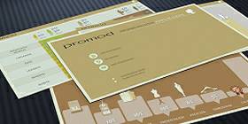 Design de présentation d'une enquête de profils clients pour la marque Promod